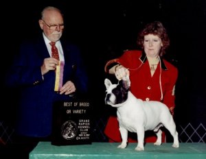 Gator sales french bulldogs